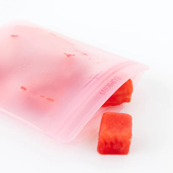 Silicone Flat Reusable Bag 2 Pack, Blue