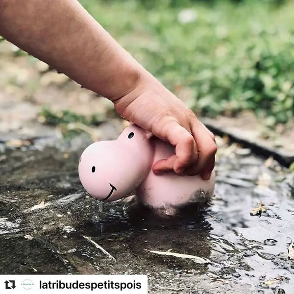 Tikiri Toys, Hippo - Natural Organic Rubber Teether, Rattle & Bath Toy