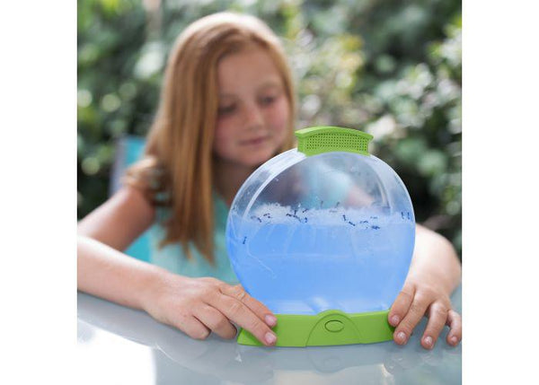 Geosafari Day and Night Ant Factory - Three LiL Monkeys Three LiL Monkeys