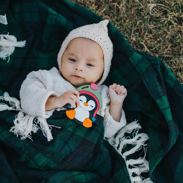 Silli Chews Penguin Teether