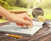 Scribbled Eggs - Three LiL Monkeys Three LiL Monkeys