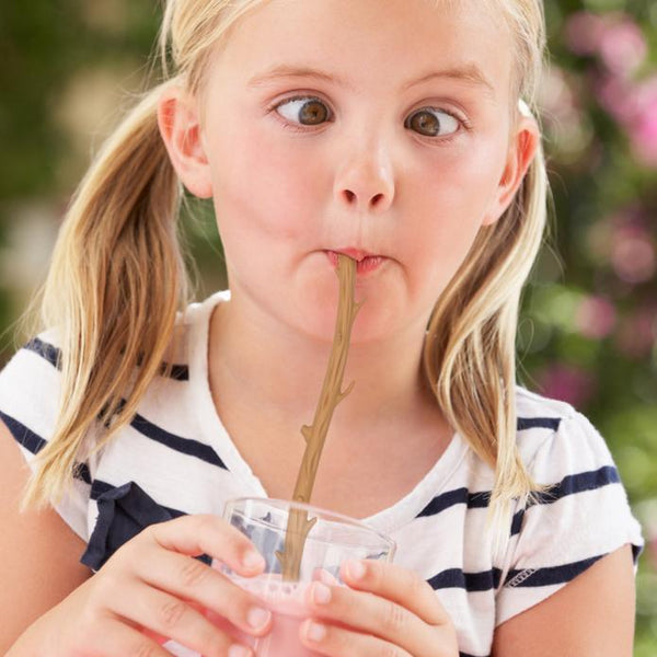 Twigglers Silicone Straws