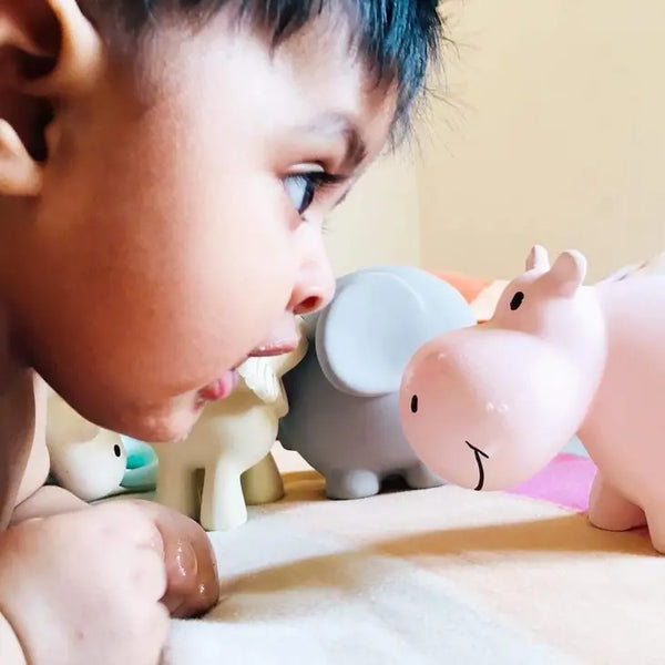 Tikiri Toys, Hippo - Natural Organic Rubber Teether, Rattle & Bath Toy
