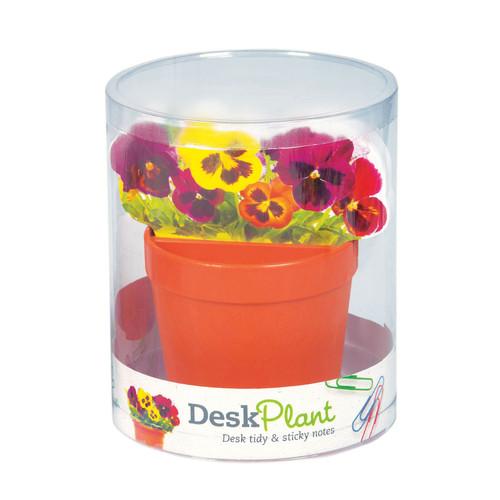 Deskplant Flower